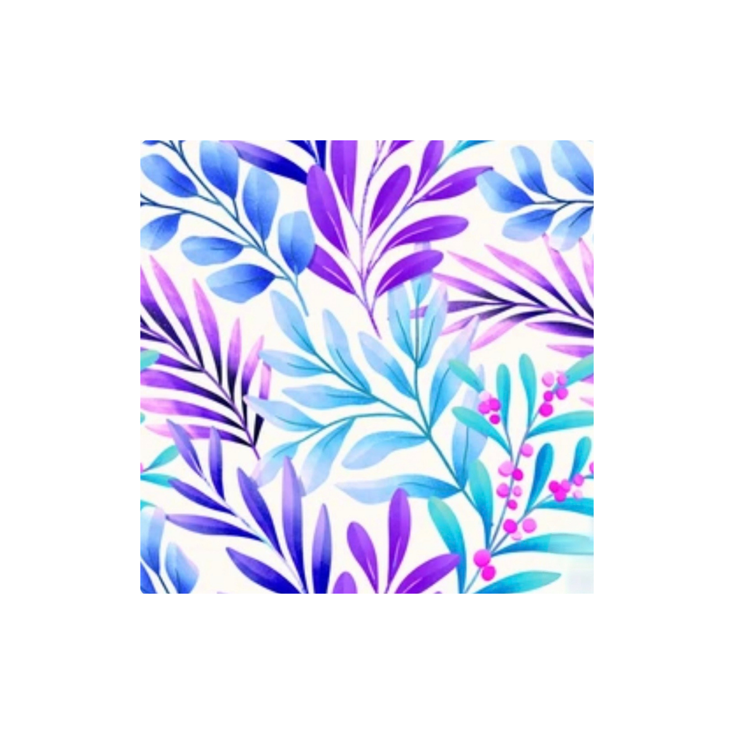 Xplore - Purple Olive