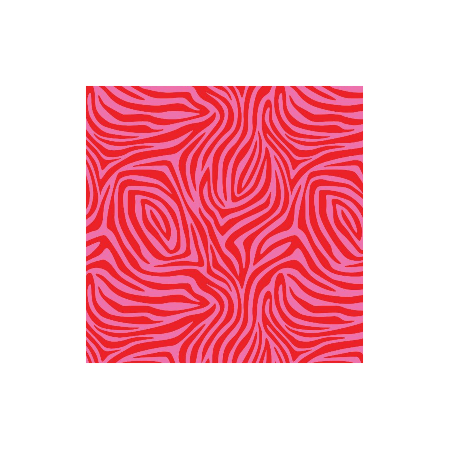 Xplore - Red Zebra